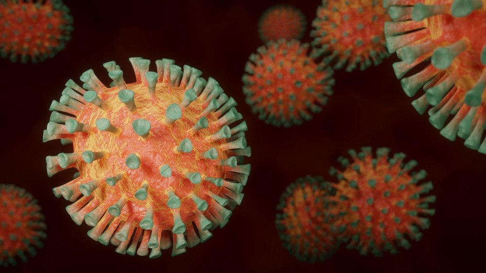 Co zaraża – wirus czy bakteria?